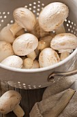 Fresh mushrooms in a colander (close-up)