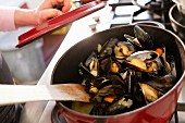 Steamed mussels in a saucepan