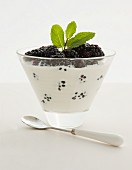 Blackberries and cream with mint in a dessert bowl