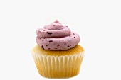 A cupcake decorated with blackberry cream