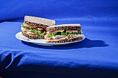 Turkey sandwiches with lettuce leaves and apple