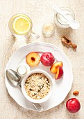 Frühstück mit Haferflocken, Samen, Kokosraspeln, Pflaumen, Joghurt und Zitronenwasser