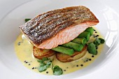 Salmon fillet on a bed of leek and potatoes in Hollandaise sauce