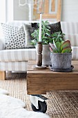 White candle in rustic candlestick and succulent on coffee table with castors