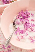 Pink lilac flowers in a bowl of sugar