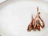 Fresh klipfish on a white plate