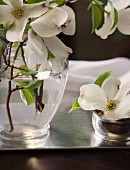 Vase mit Hartriegel-Blüten auf silbernem Tablett
