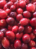 Cranberries (full-frame)
