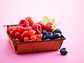 A dish of fresh summer berries