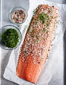 Salmon fillet being marinated with dill, spice salt and sugar