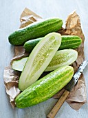 Cucumber