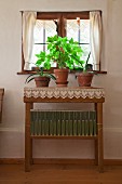 Pflanzentöpfe auf schlichtem Wandtisch mit Spitzenborte, am Bauernhausfenster