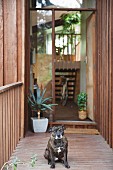 Wooden house with view into foyer through open front door and dog in foreground