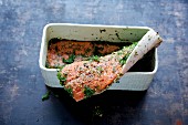 Graved lax being made: raw fillet of salmon being layered in a rectangular container with spices and dill