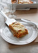 Vegetarian lasagnes