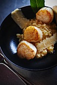 Risotto with Parmesan cheese and scallops