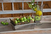 Bark and green apples in loaf tin and fruit in glass container