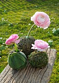 Pink ranunculus stuck in balls of herbs on weathered wooden board outdoors