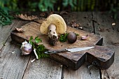An arrangement of wild mushrooms and garlic