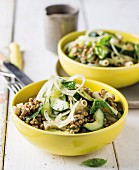 Pasta salad with lentils and cucumber