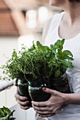 Woman holding herbs planted in mason jars