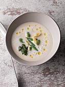 White bean soup with wax beans, Kenya beans and coriander pesto