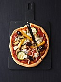 Vegetarian pizza Provençal with goats cheese