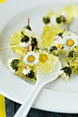 Lemon jelly with daisies