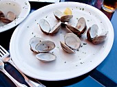 Empty clam shells