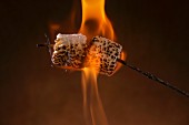 Marshmallows being toasted on a stick over a flame