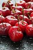 Fresh cherries with drops of water (close-up)