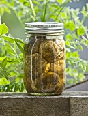 Jar of Homemade Pickled Brussels Sprouts