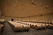 Barrique barrels in the wine cellar at Chateau Fourcas Hosten (Bordeaux, France)