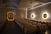 Barrique barrels in the wine cellar at Chateau Fourcas Hosten (Bordeaux, France)