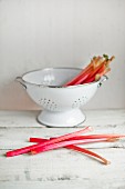 Young rhubarb in a colander