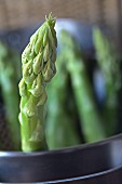 Green asparagus in a pot