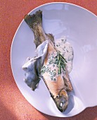 Steamed brook trout with herb sauce