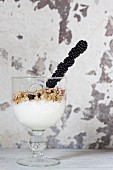 Yoghurt with granola and a blackberry skewer