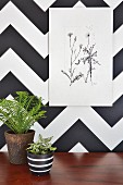 Pflanzenzeichnung an Wand mit schwarz-weißem geometrischem Muster, Zimmerpflanzen in Übertopf