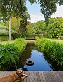 Dog lying on wooden deck next to long pool in well-tended landscaped garden