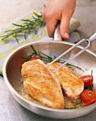 Chicken breast with tomatoes and rosemary in a pan
