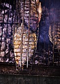 Grilled sea bream on a charcoal barbecue