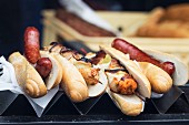 Hot Dogs & gegrillte Hähnchenspiesse auf Metallständer eines Imbiss