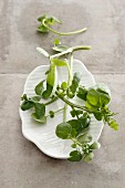 A plate of fresh watercress