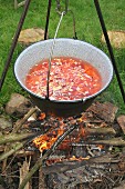 Vegetable soup in a pot over a camp fire