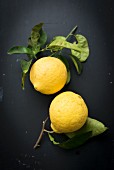 Two Zedra lemons with leaves on a black background