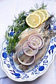 Soused herring fillets with onions