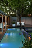 Pool mit Unterwasserbeleuchtung vor überdachter Terrasse, Rattansessel vor hohem Kampferbaum