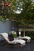 Agapanthus flowers between vintage-style loungers in front of terrace wall