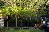 Wide stone-paved path and leopard trees (Caesalpinia ferrea) beyond lawn